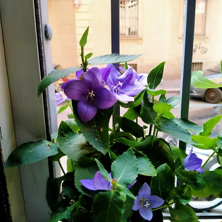 شقة La Graziosa Torino, Porta Susa تورينو