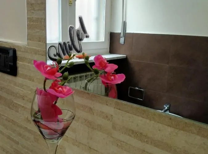 Apartment La Graziosa Torino, Porta Susa
